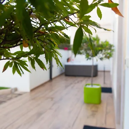 Dal Signor Wolf 5* Pezze Di Greco