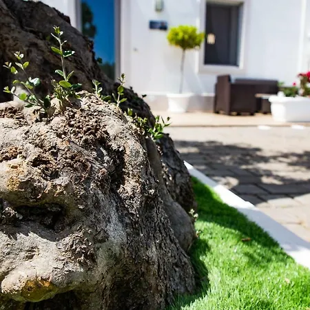 Dal Signor Wolf Bed & Breakfast